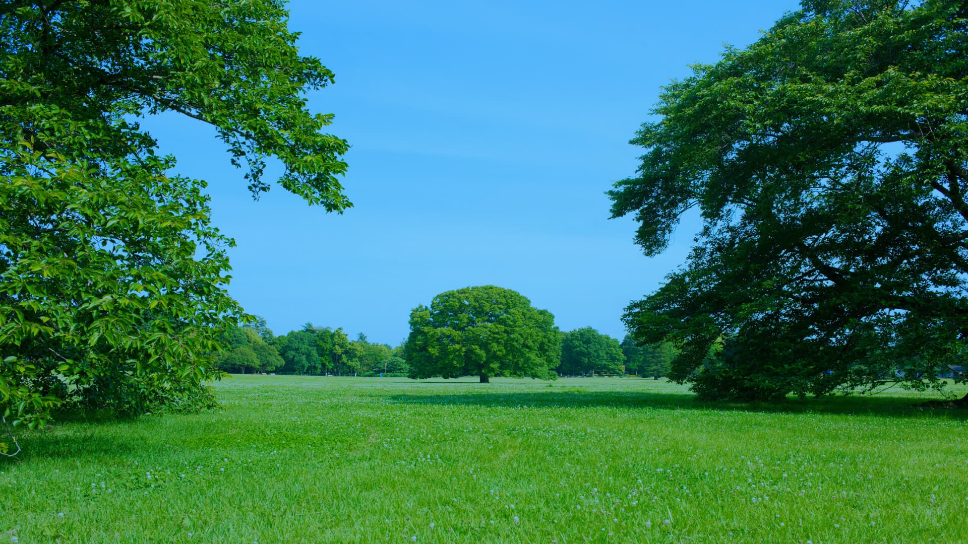 小林ダクト工業株式会社イメージ2